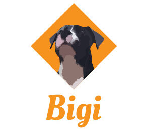 BIGI